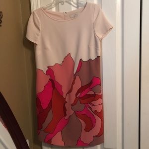Loft shift dress